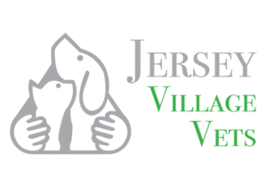Jersey Vets